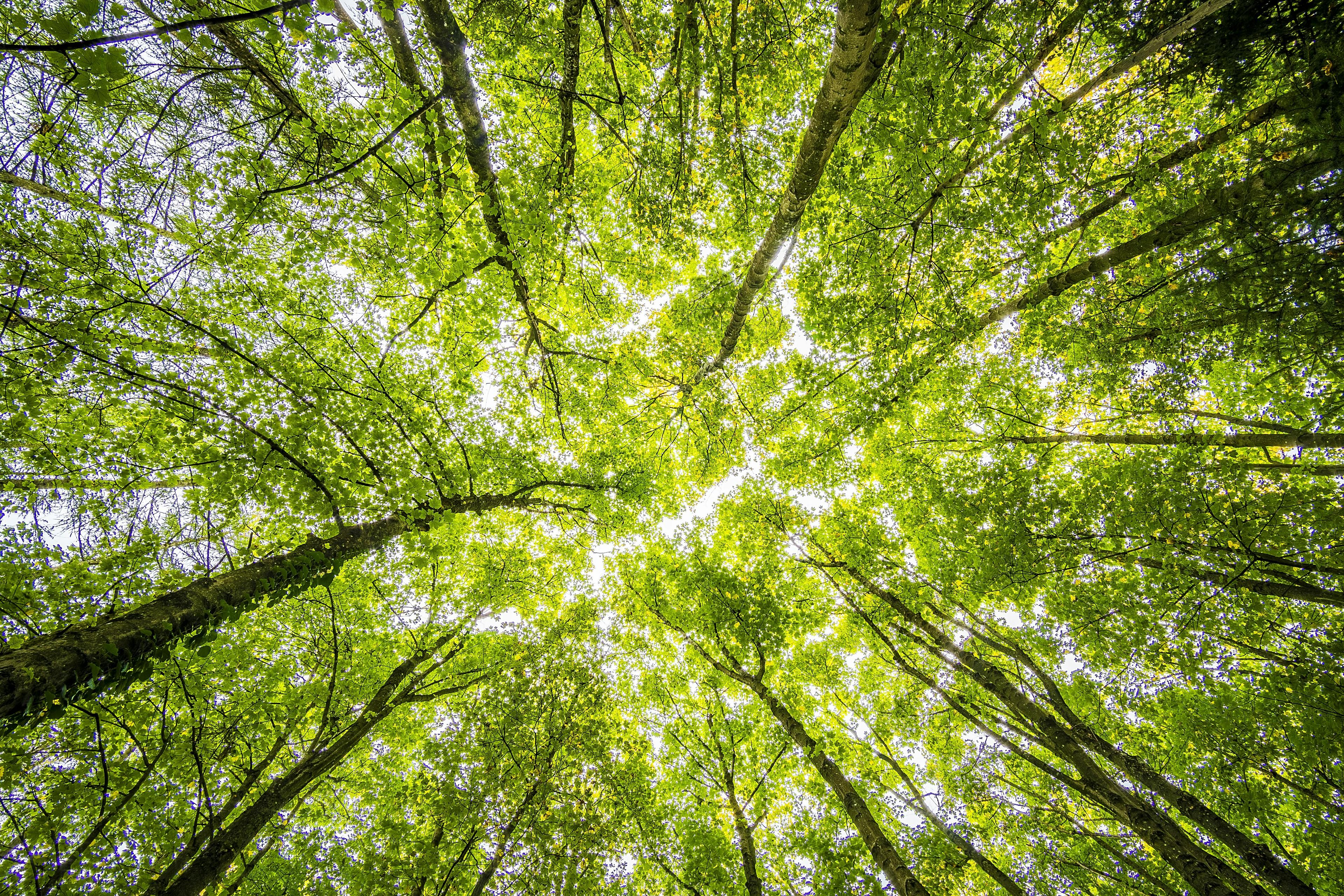 Navigating the ESG Landscape